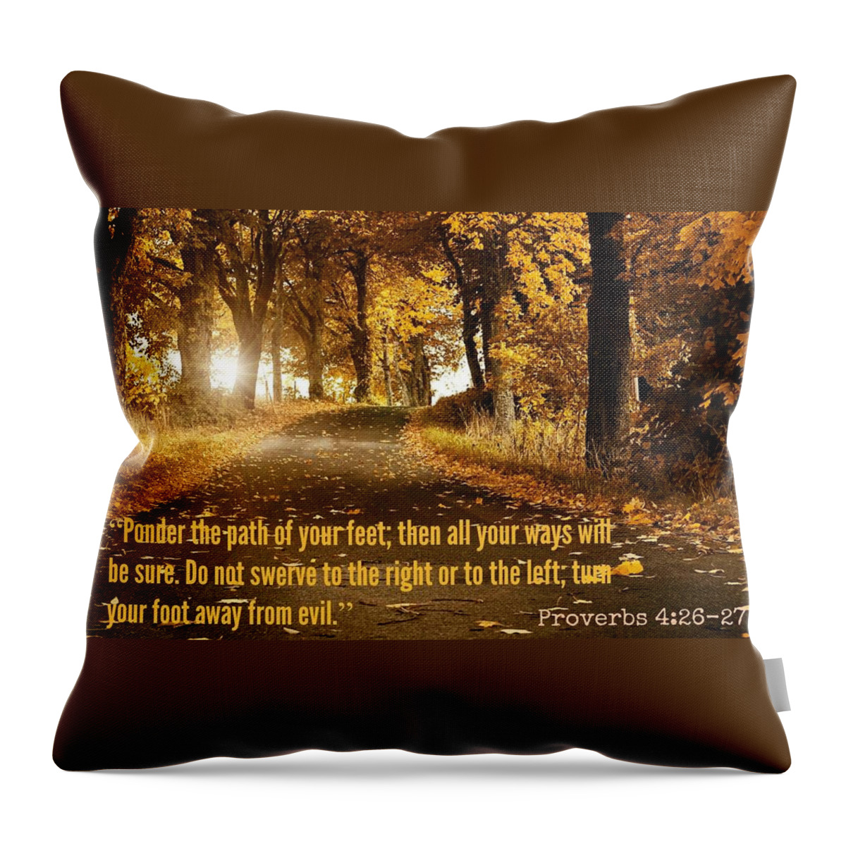  Throw Pillow featuring the photograph Proverbs104 by David Norman