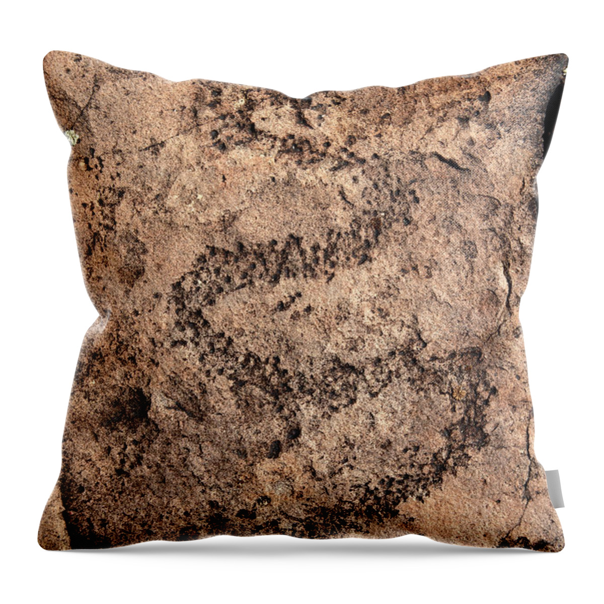 Utah Throw Pillow featuring the photograph Provo Canyon Petroglyph BP1_0764 by Brett Pelletier