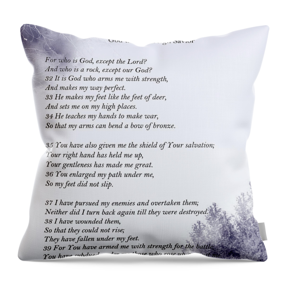 Psalm 18 Throw Pillow featuring the painting Psalm 18- Pg 4 by Trilby Cole