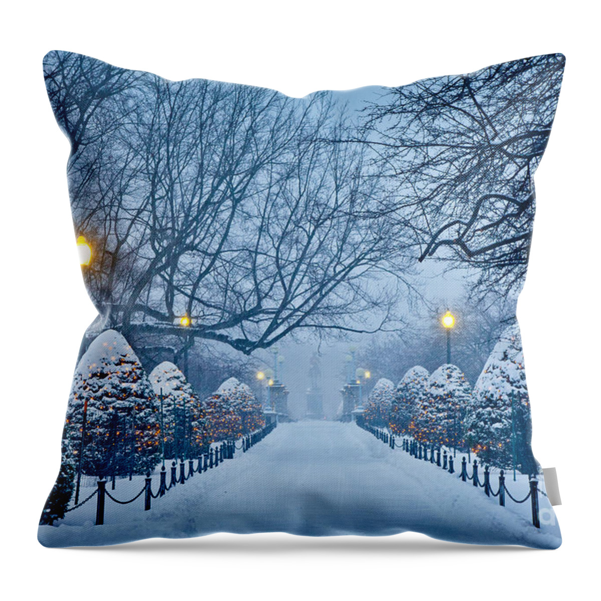 Back Bay Throw Pillow featuring the photograph Public Garden Walk by Susan Cole Kelly