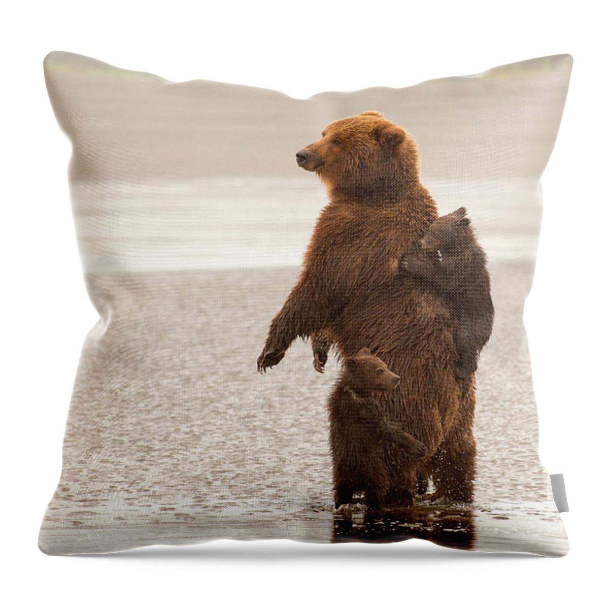 Alaskan Brown Bears Throw Pillow featuring the photograph Puddles by Aaron Whittemore