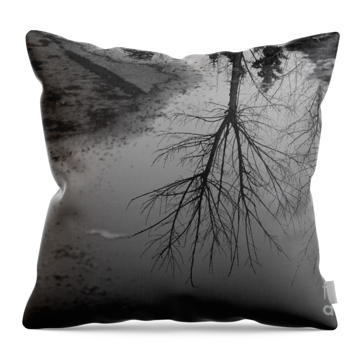 Spring Thaw Throw Pillow featuring the photograph Puddles by Ann E Robson