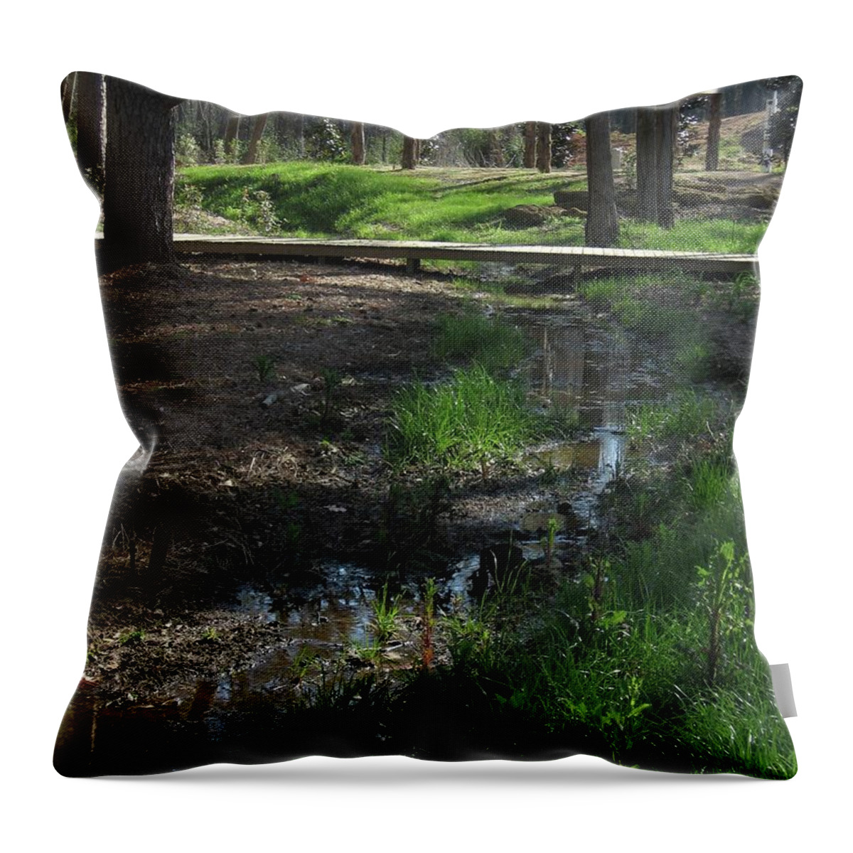 Wetlands Throw Pillow featuring the photograph Puddles on Top of the Boardwalk by Judith Lauter