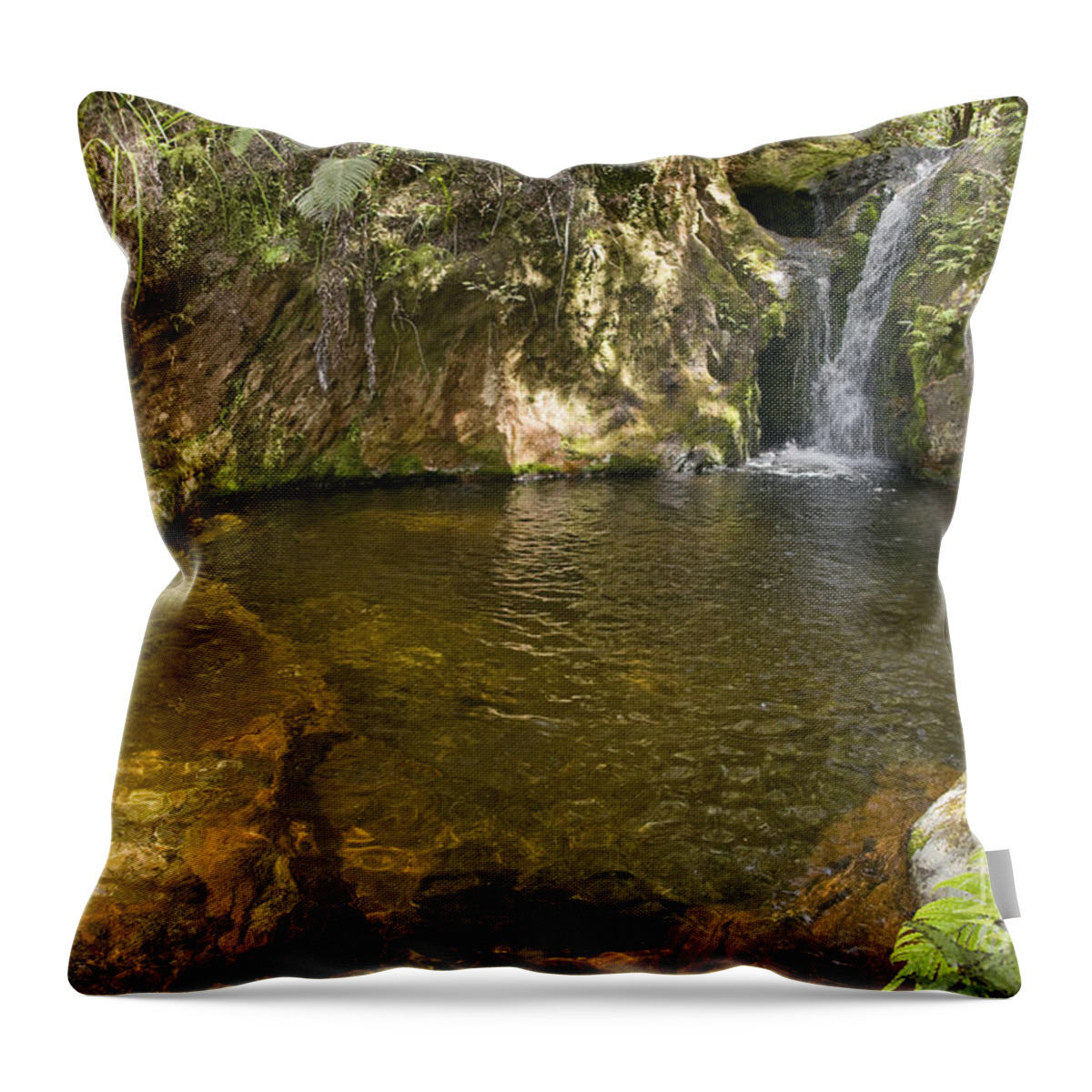 Clear Throw Pillow featuring the photograph Puketui Valley, Secret waterfall by Himani - Printscapes