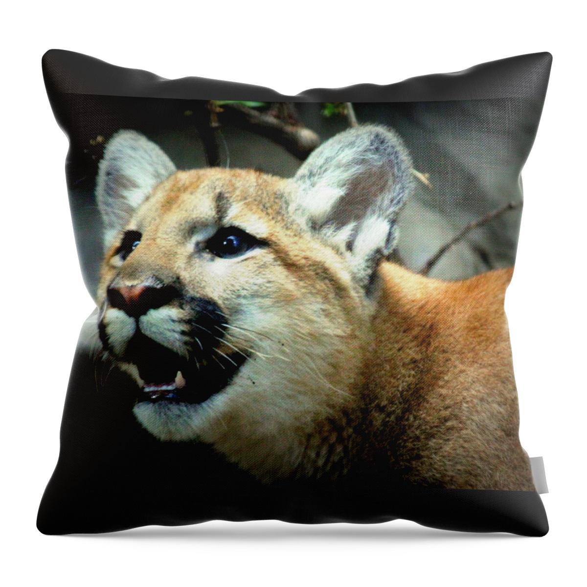Puma Throw Pillow featuring the photograph Puma Cub by John Olson