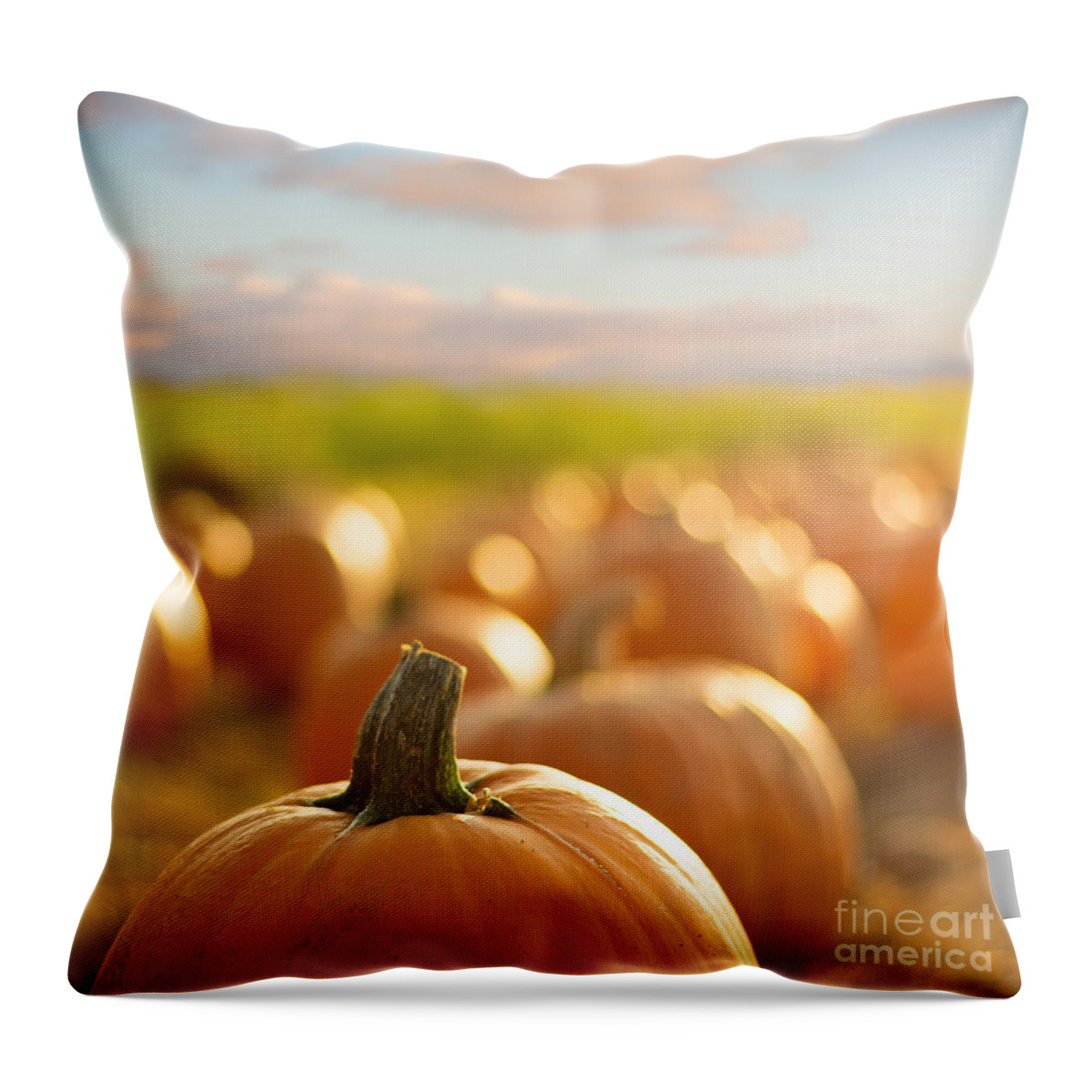 Sunflower Throw Pillow featuring the photograph Pumpkin Patch by Alissa Beth Photography
