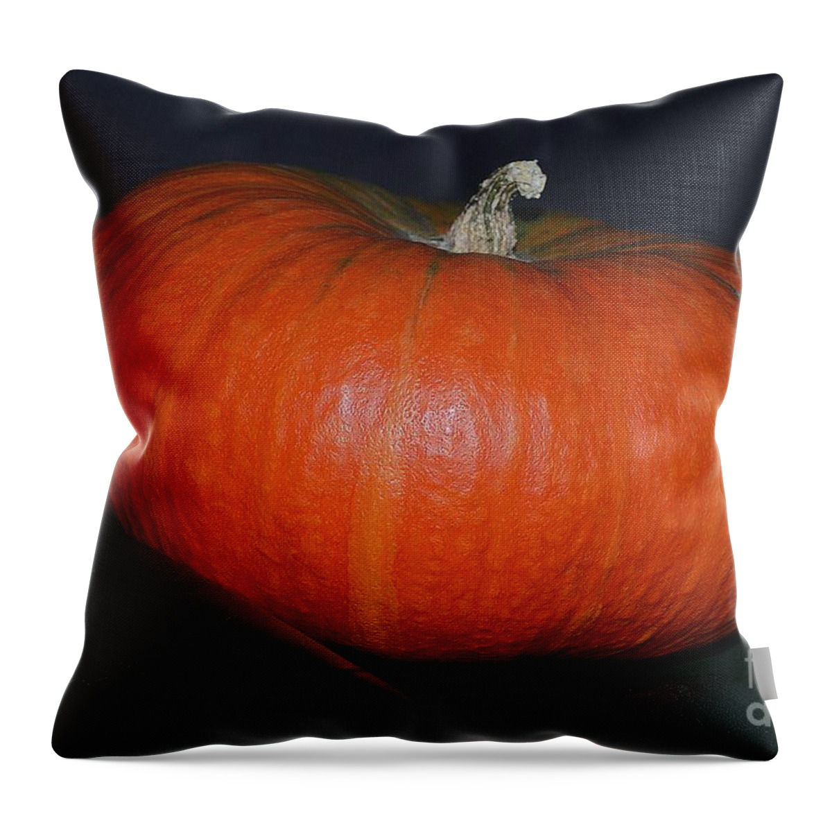 Seasonal Throw Pillow featuring the photograph Pumpkin Season by Felicia Tica