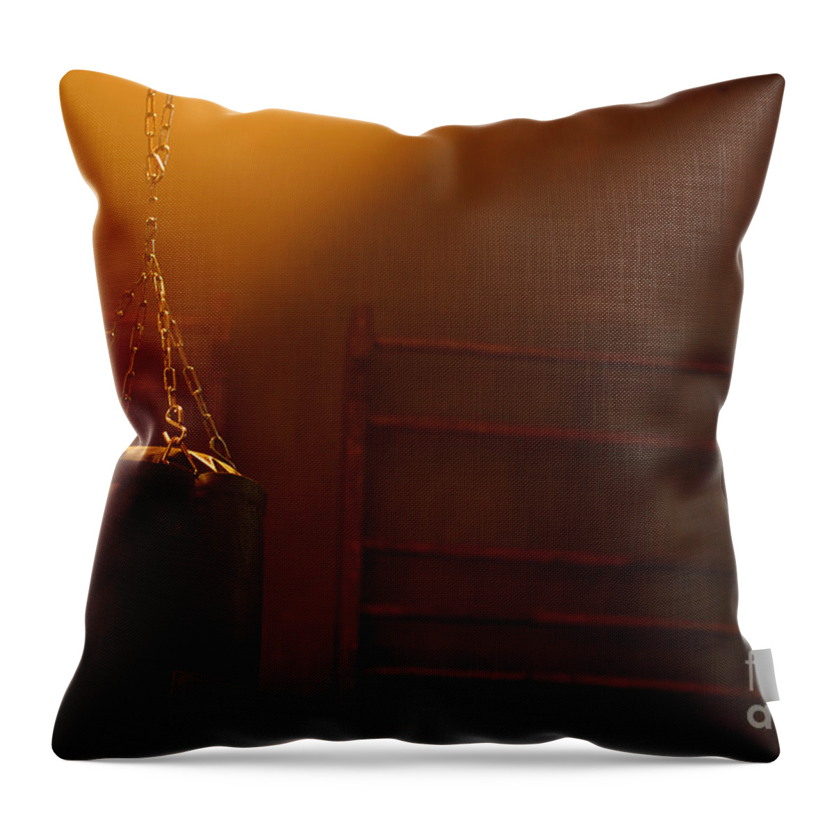 Punching Bag Throw Pillow featuring the photograph Punching Bag in the Light by Micah May
