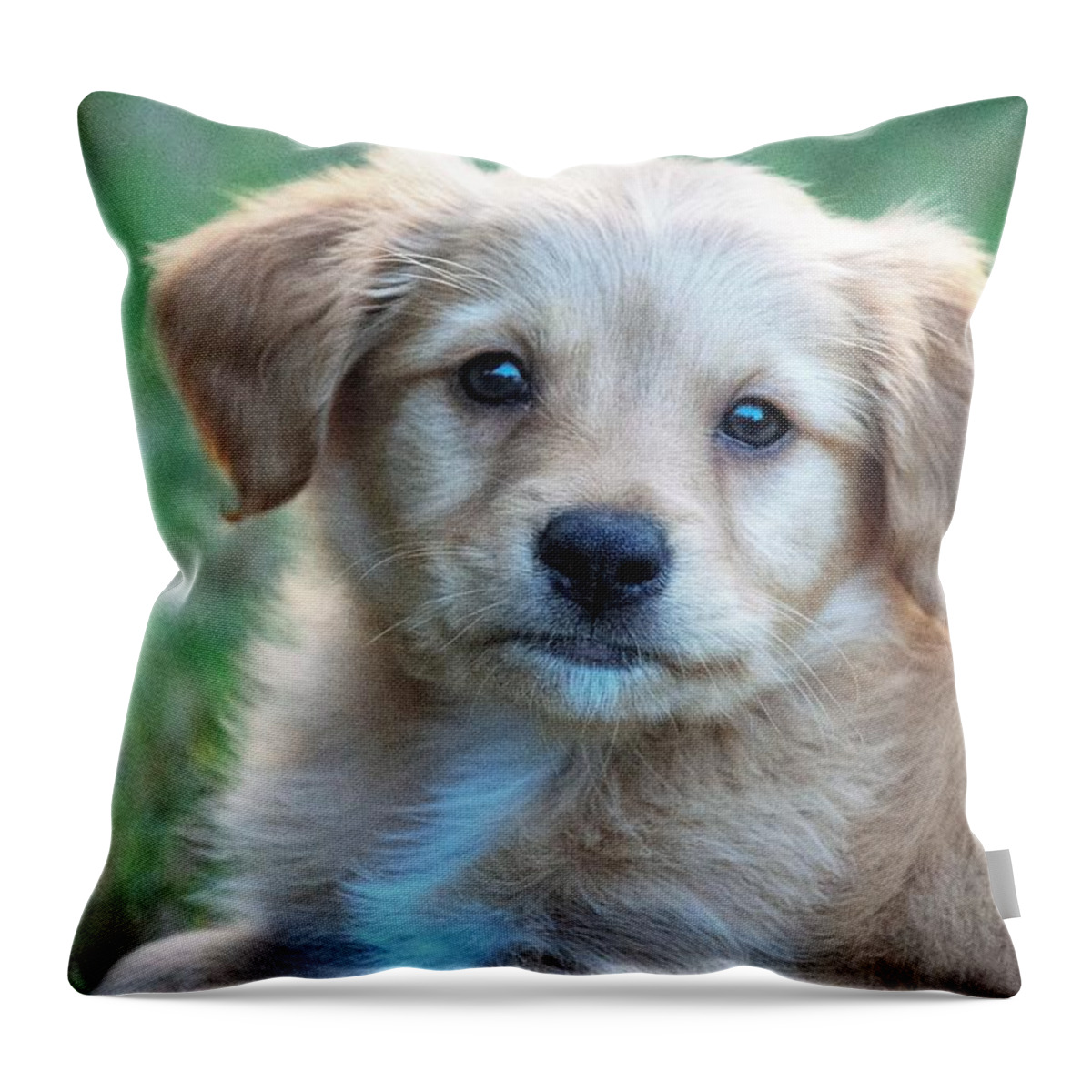 Puppy Throw Pillow featuring the photograph Puppy Love by Mary Ann Artz