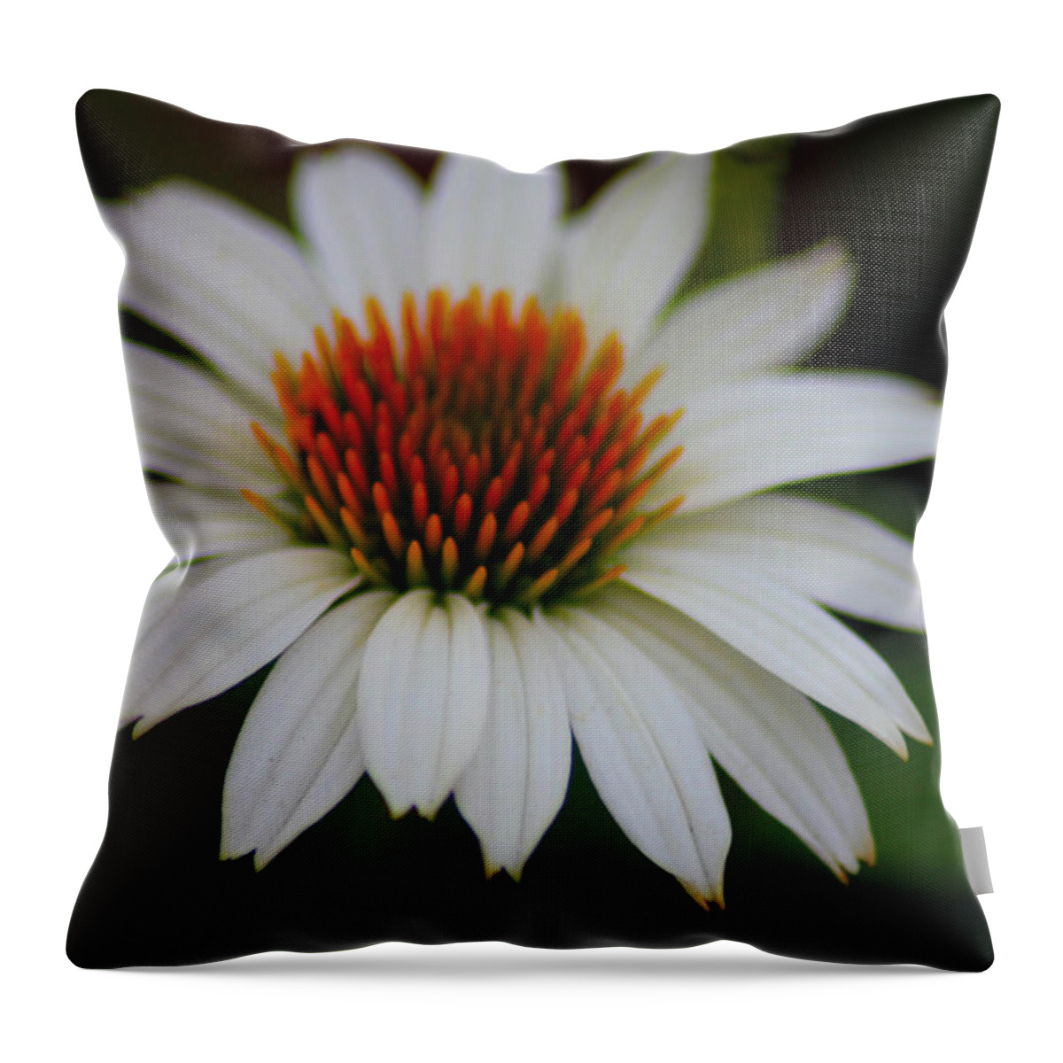 Flower Throw Pillow featuring the photograph Pure and Simple by Karen Wagner