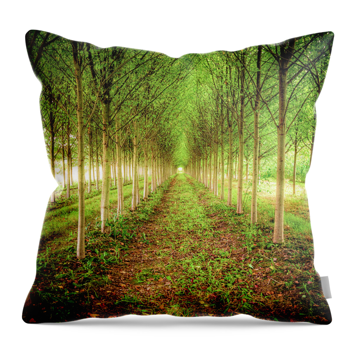 Landscape Throw Pillow featuring the photograph Craven Farms by Spencer McDonald