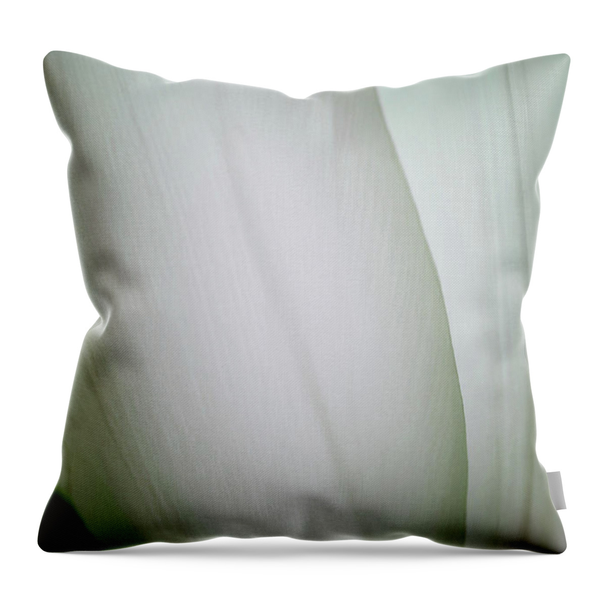 White Tulips Throw Pillow featuring the photograph Pure Serenity by The Art Of Marilyn Ridoutt-Greene