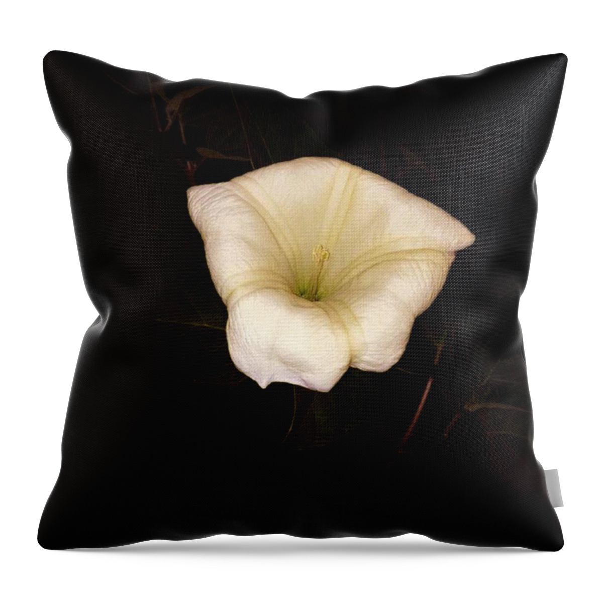 Purity Throw Pillow featuring the photograph Purity Has No Shame by Nick Heap