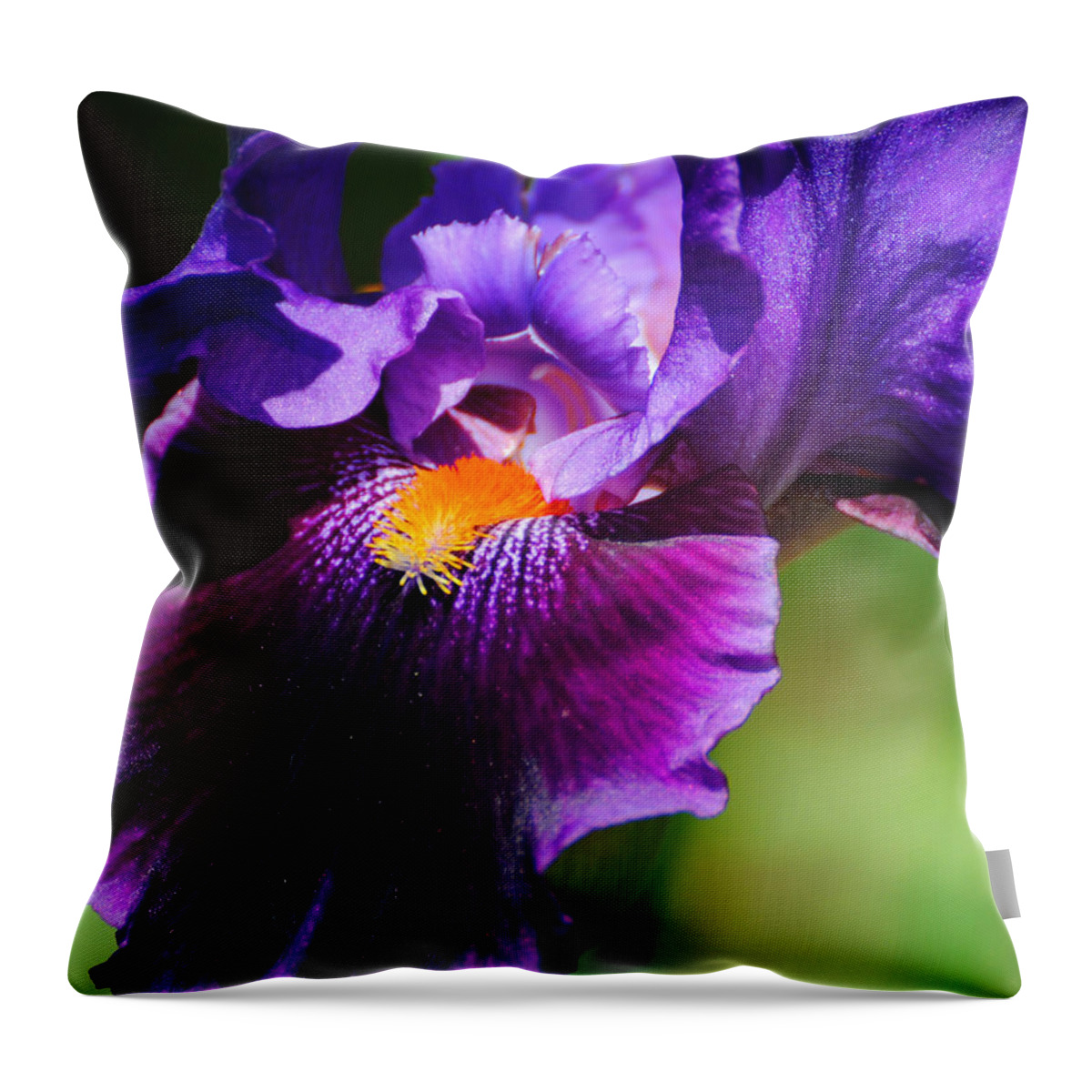 Beautiful Iris Throw Pillow featuring the photograph Purple and Orange Iris 4 by Jai Johnson