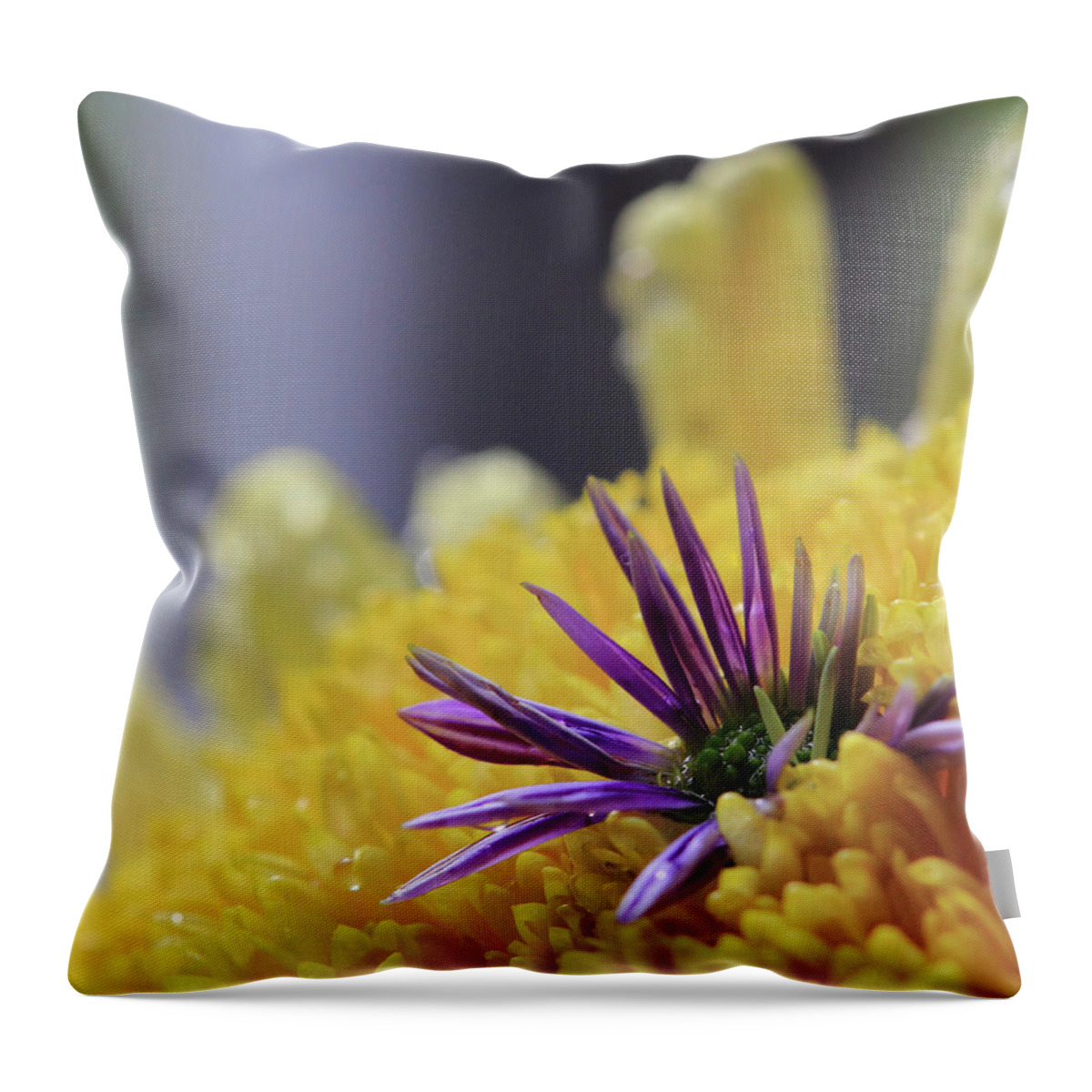 Purple And Yellow Floral Throw Pillow featuring the photograph Purple and Yellow Floral by Angela Murdock