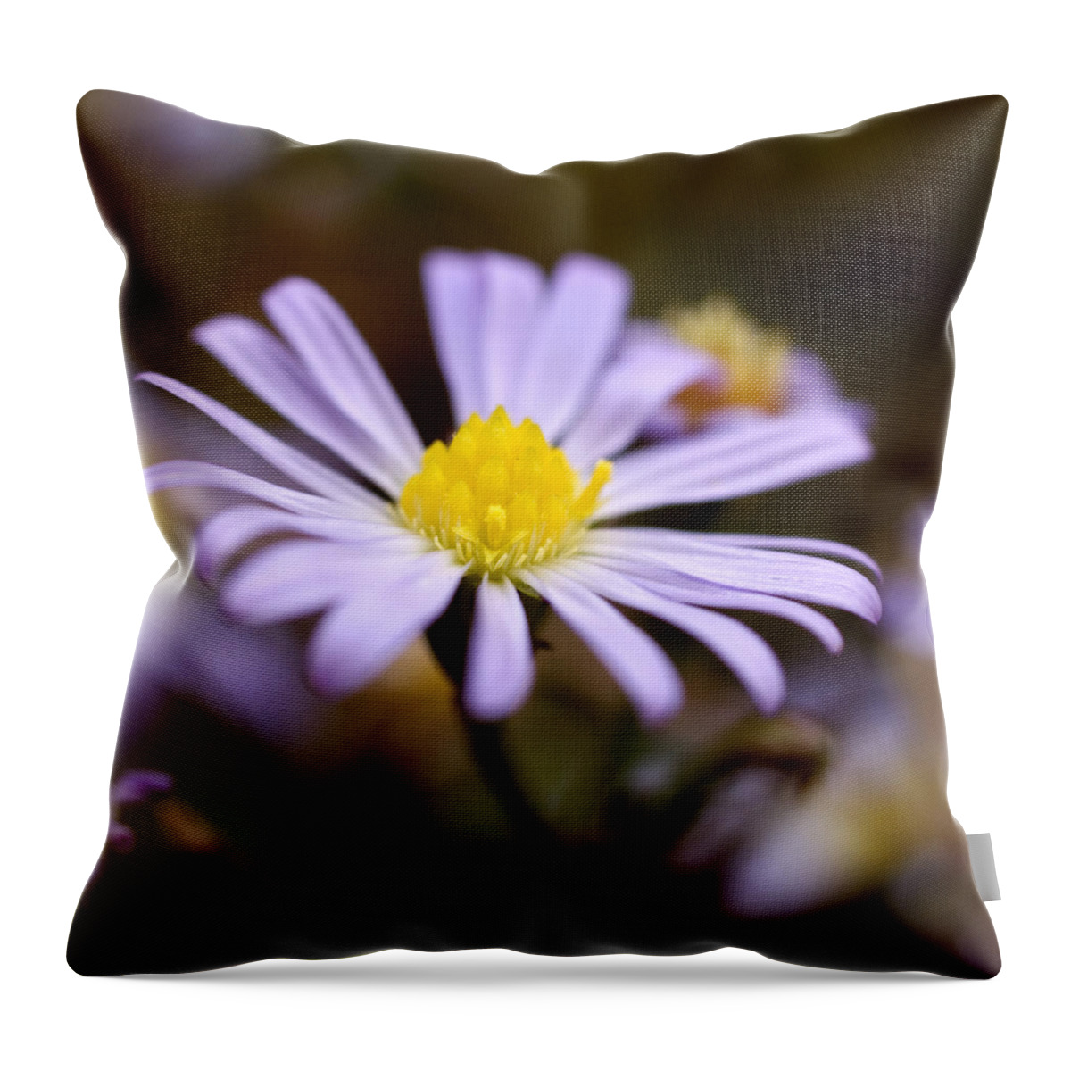 Purple Throw Pillow featuring the photograph Purple and Yellow Flower by Jessica Wakefield