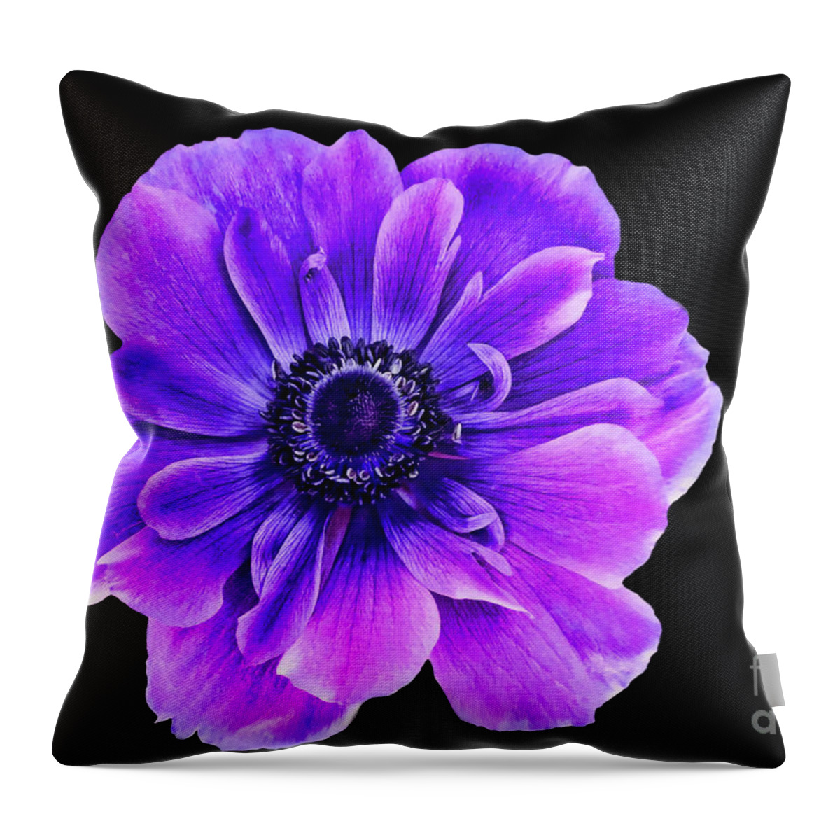 Purple Flower Throw Pillow featuring the photograph Purple Anemone Flower by Mariola Bitner
