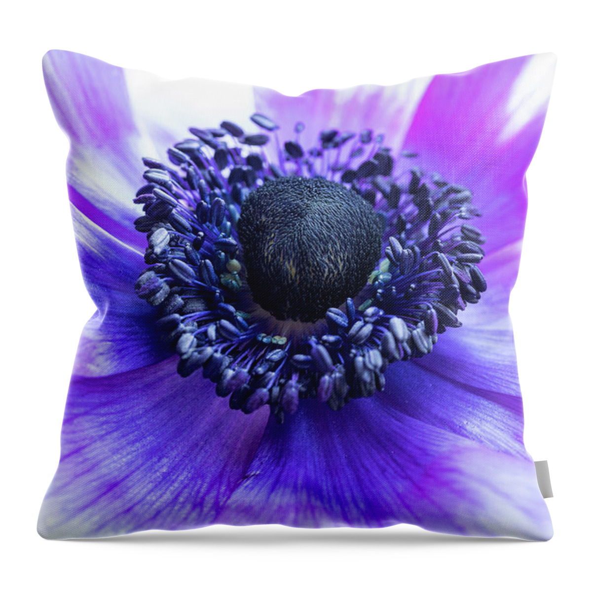 Anemone Throw Pillow featuring the photograph Purple Anemone by Kristen Wilkinson