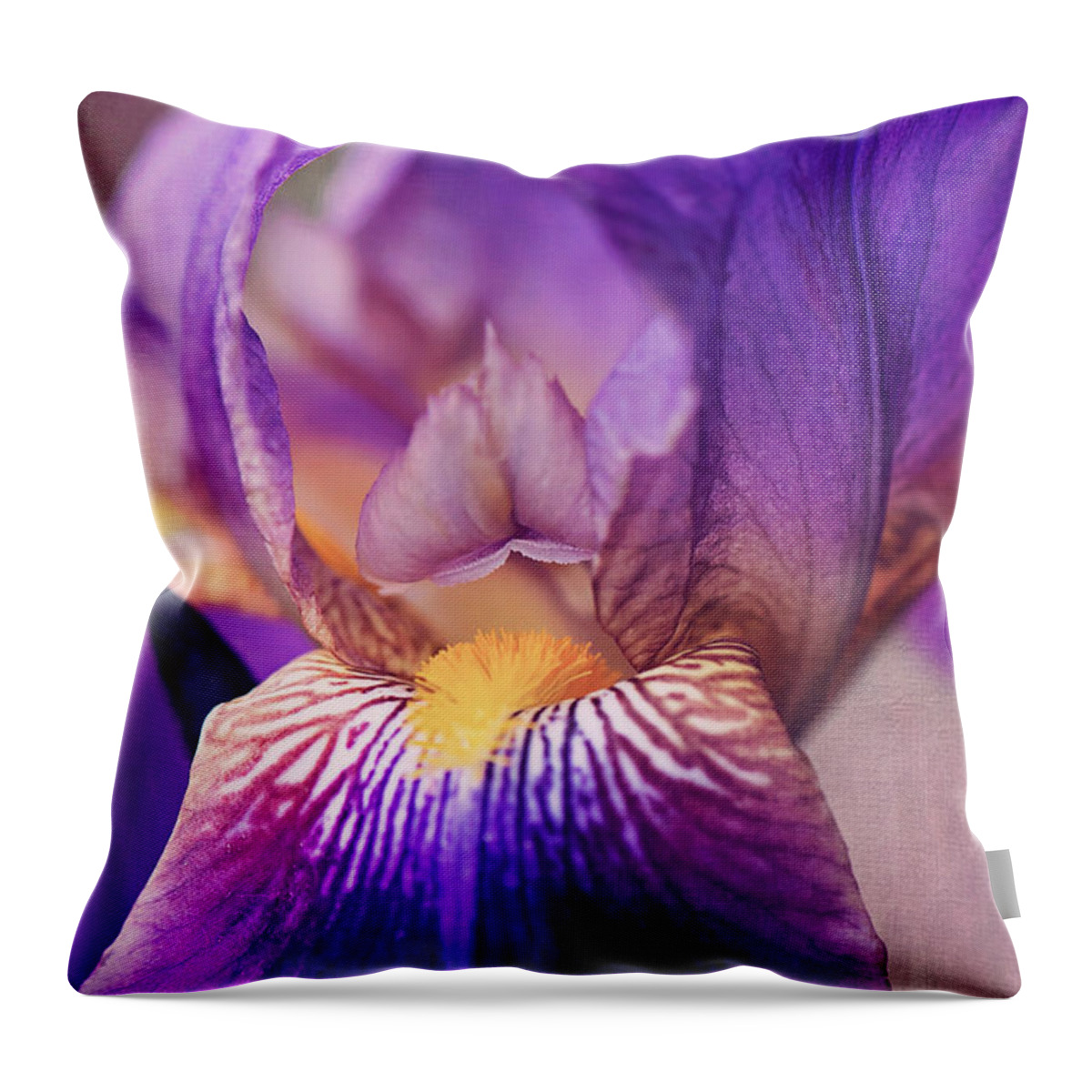 Purple Bearded Iris Throw Pillow featuring the photograph Purple Bearded Iris Wall Art by Gwen Gibson