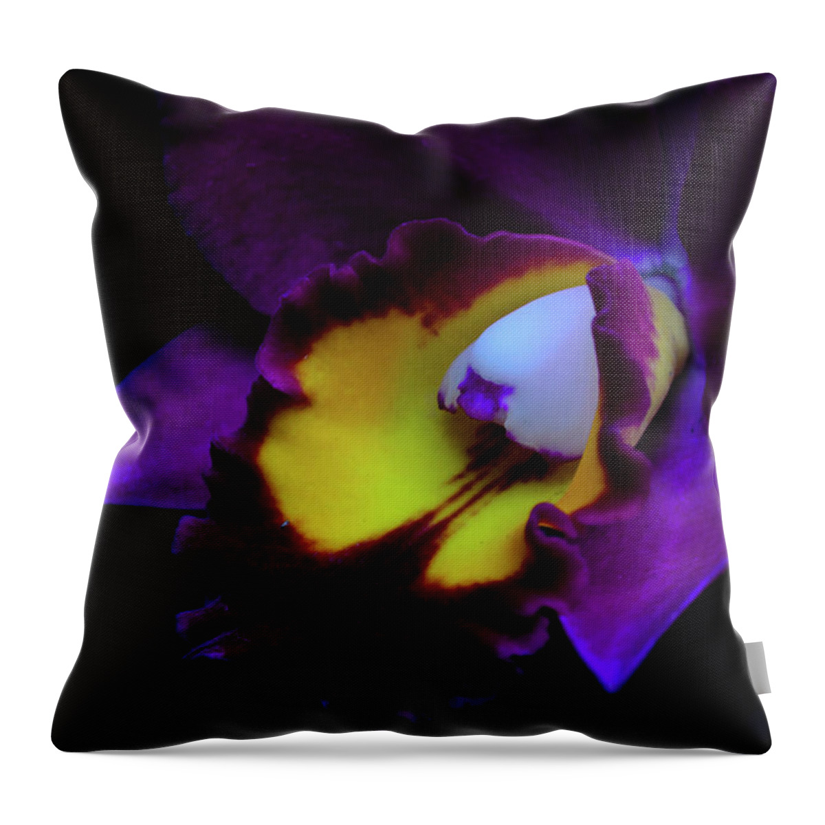 Cleveland Botacinal Gardens Throw Pillow featuring the photograph Purple Beauty by Stewart Helberg