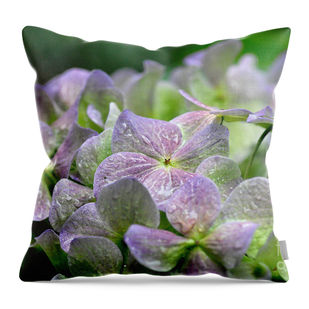 Botany Throw Pillow featuring the photograph Purple Beauty by Tatyana Searcy