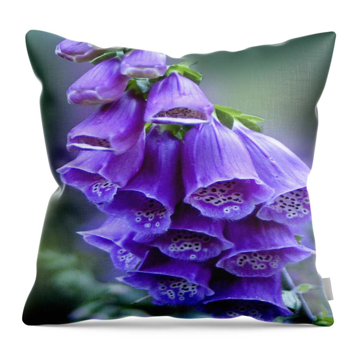 Bell Flowers Throw Pillow featuring the photograph Purple Foxglove Flower by Carol F Austin
