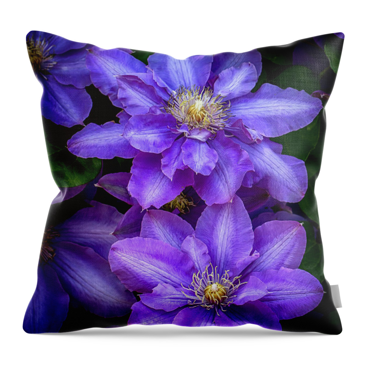 Flowers Throw Pillow featuring the photograph Purple Clematis in Spring by John Haldane