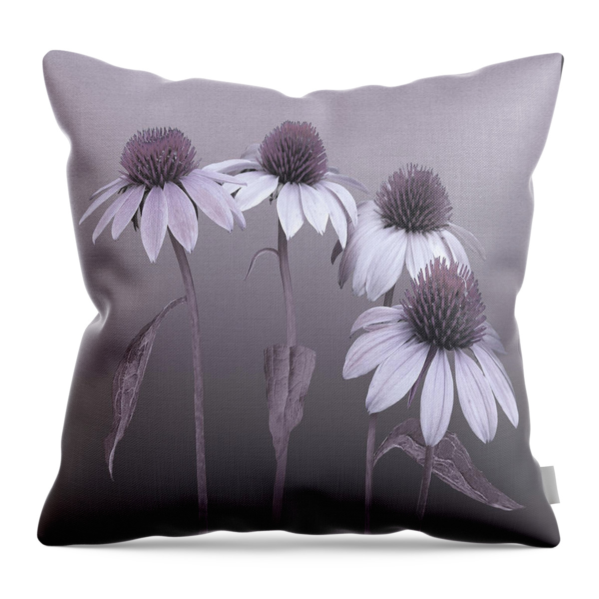 Echinacea Throw Pillow featuring the digital art Purple Coneflowers and Dragonfly by M Spadecaller