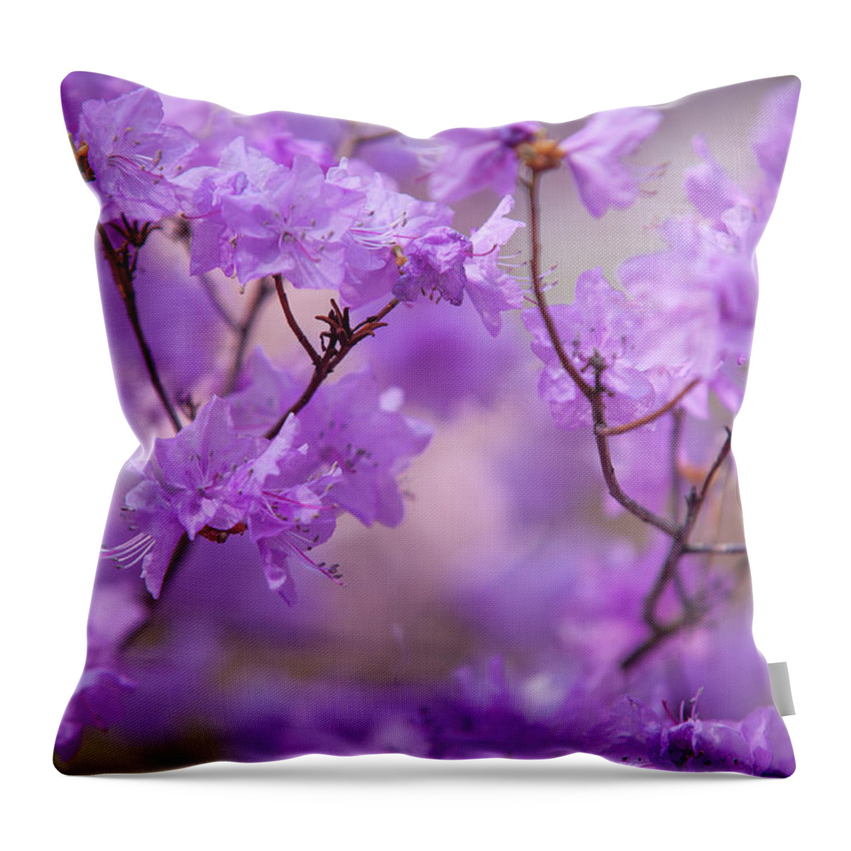 Jenny Rainbow Fine Art Photography Throw Pillow featuring the photograph Purple Delight. Spring Watercolors by Jenny Rainbow