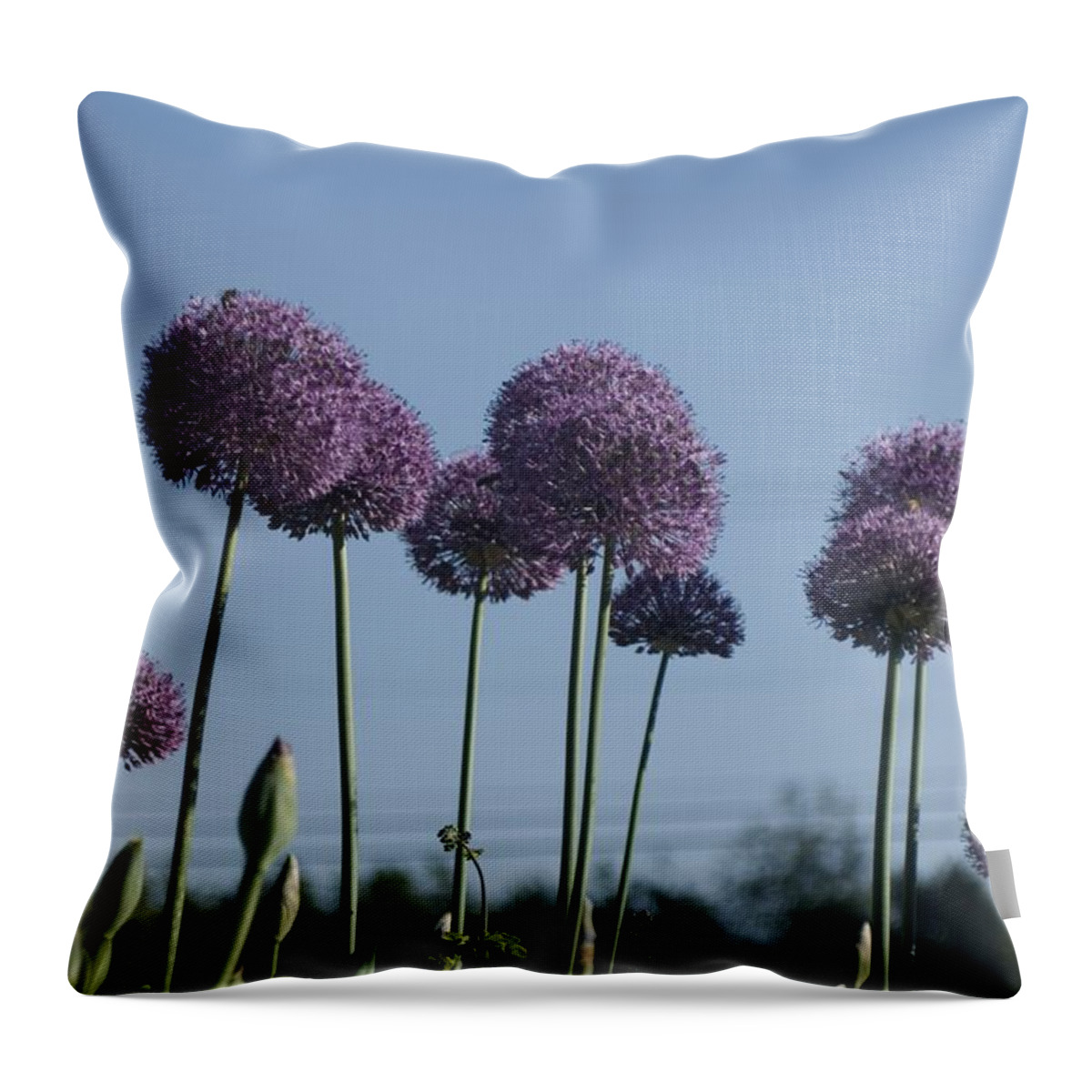 Flower Throw Pillow featuring the photograph Purple flowers by Sara Stevenson