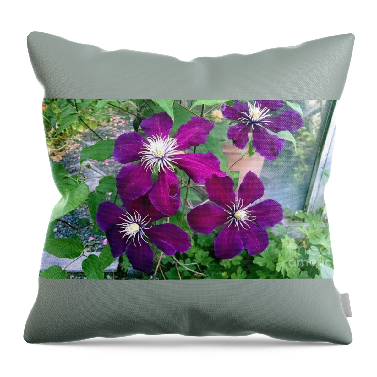 Floral Throw Pillow featuring the photograph Purple flowers by Steven Wills