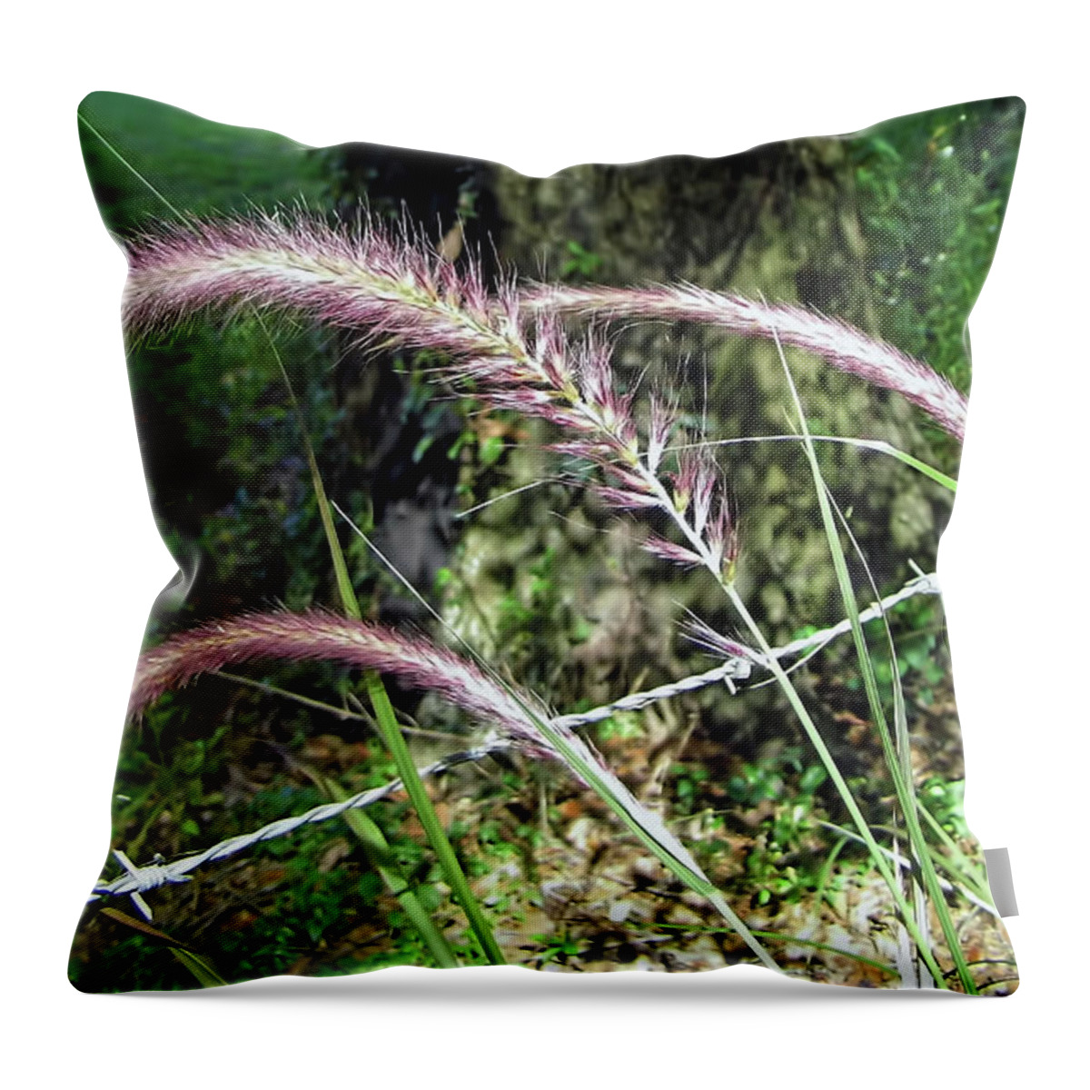 Ornamental Grass Throw Pillow featuring the photograph Purple Fountain Grass by D Hackett