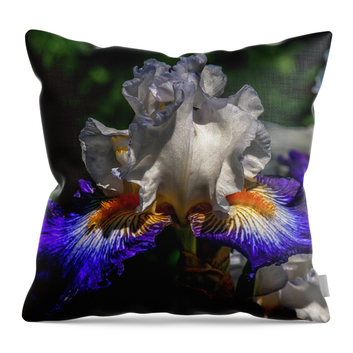 Iris Throw Pillow featuring the photograph Purple Fringed White Iris by Jim Moore