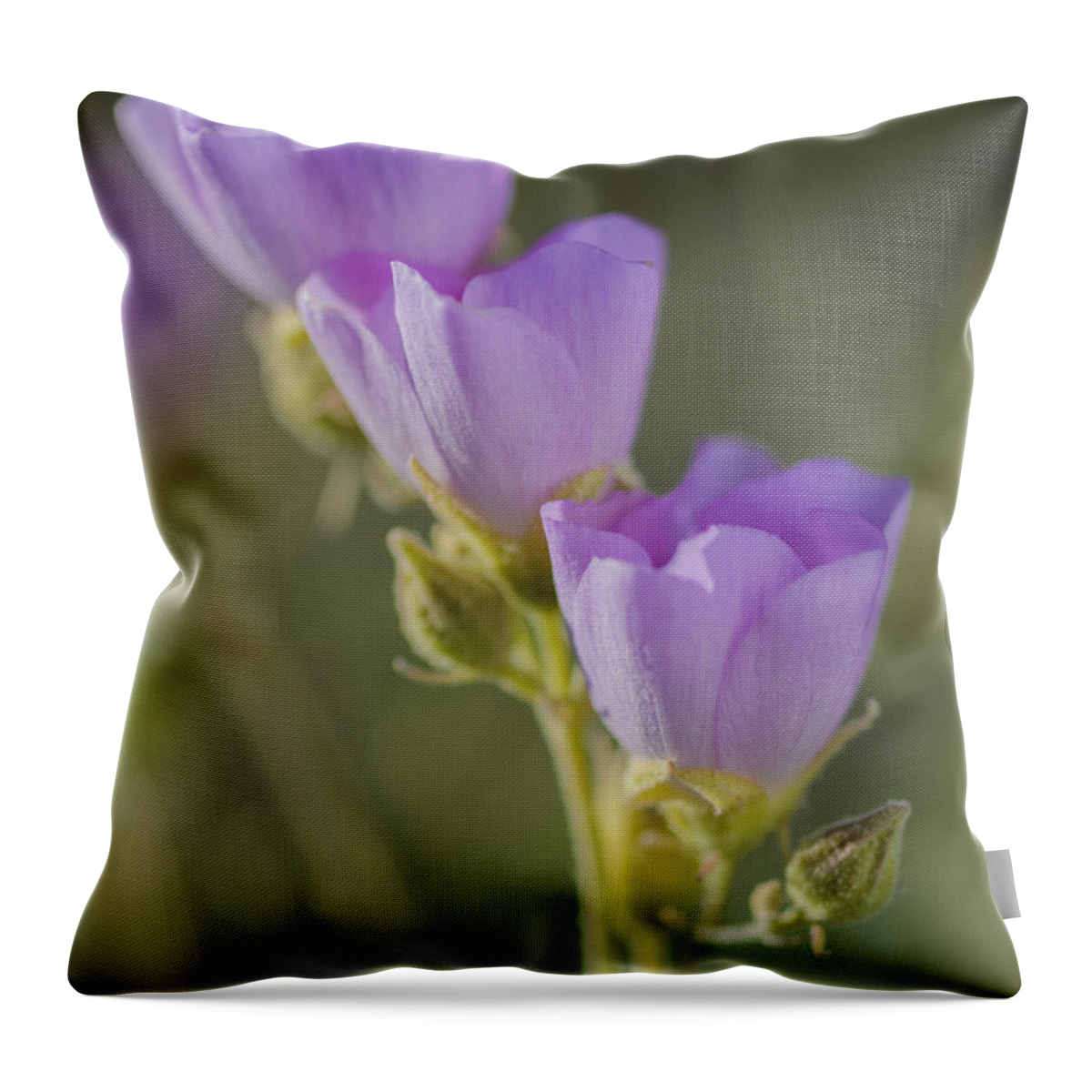 Purple Globemallow Throw Pillow featuring the photograph Purple Globemallow by Tamara Becker