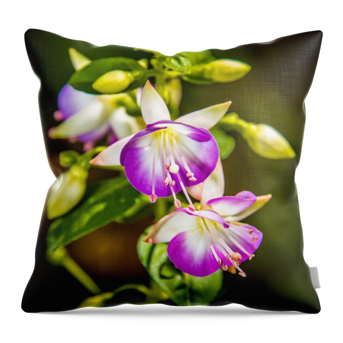 Flowers Throw Pillow featuring the photograph Purple Glow by Jerry Cahill