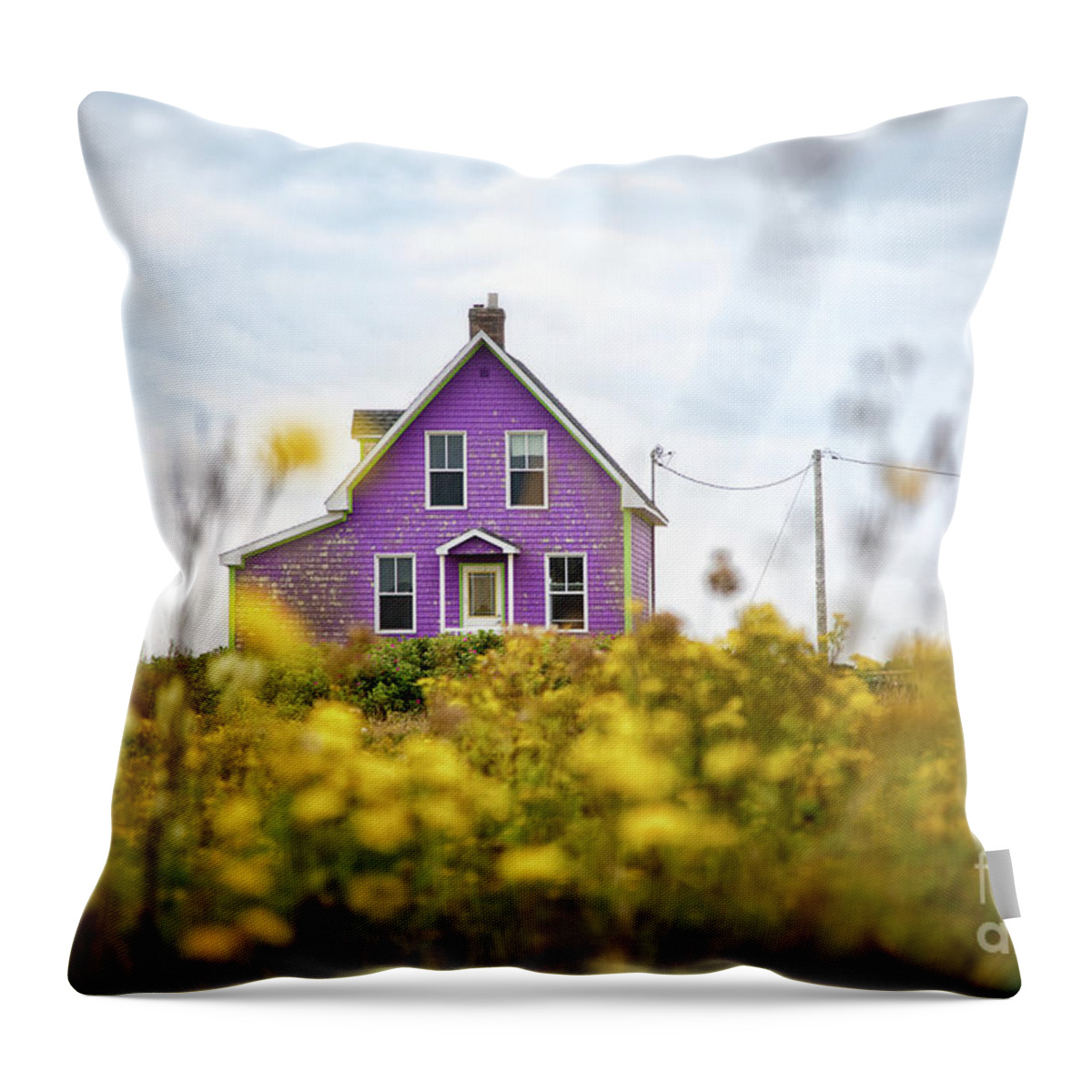 Island Throw Pillow featuring the photograph Purple house and yellow flowers by Jane Rix