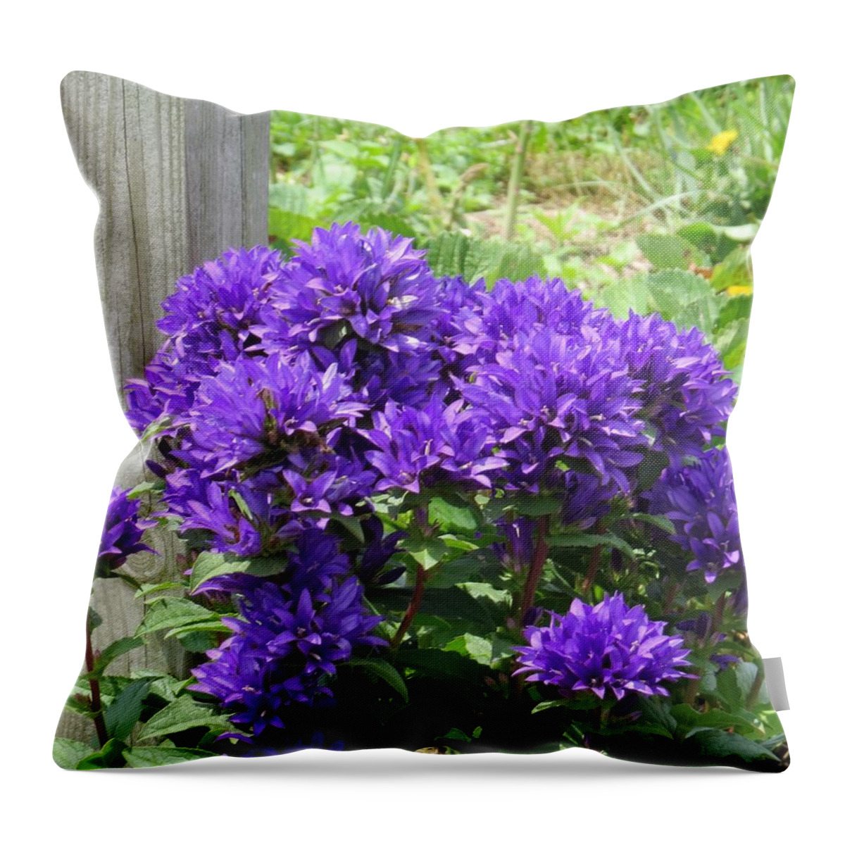 Flowers Throw Pillow featuring the photograph Purple in the Forest by Jeanette Oberholtzer