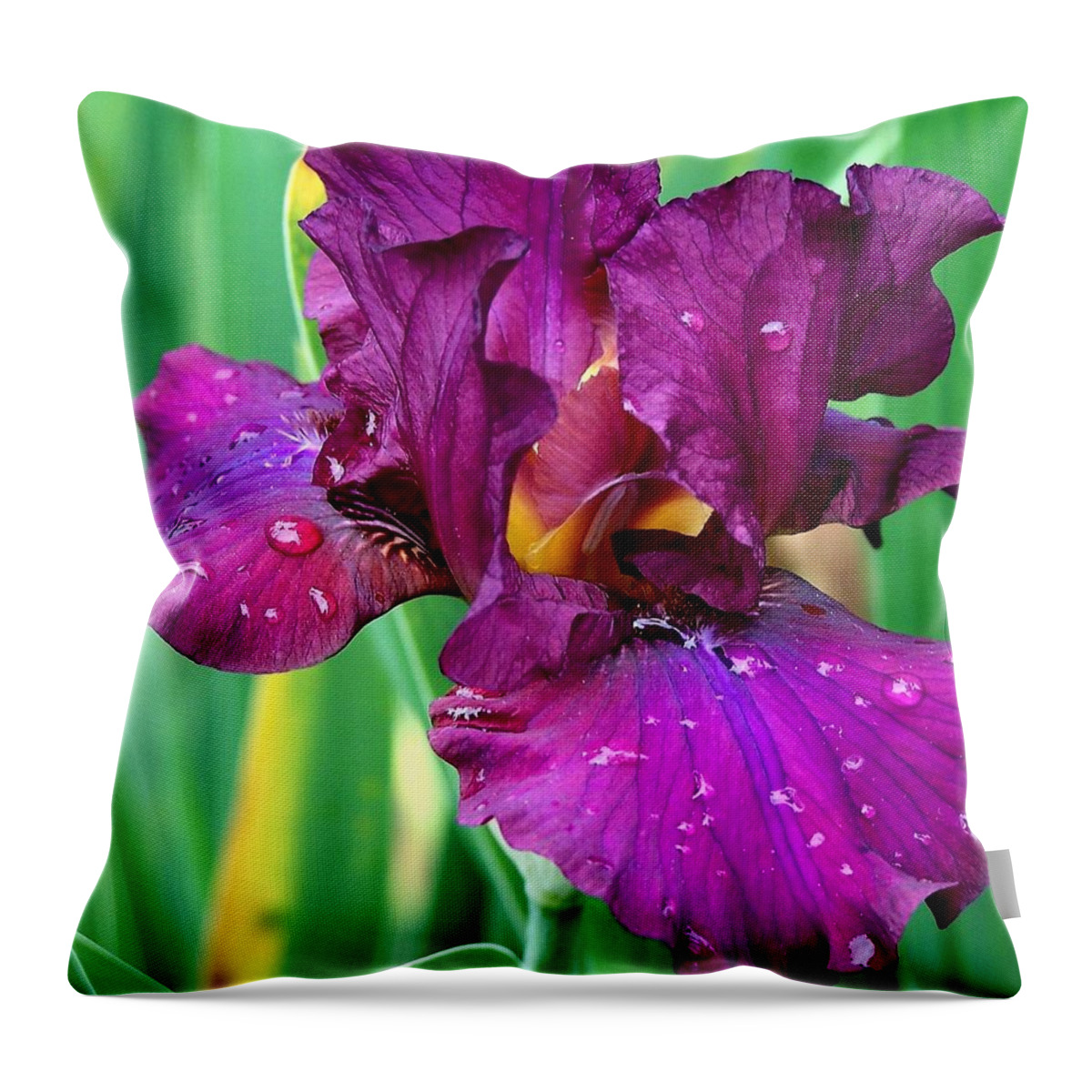 Purple Throw Pillow featuring the photograph Purple Iris 2 Photograph by Kimberly Walker