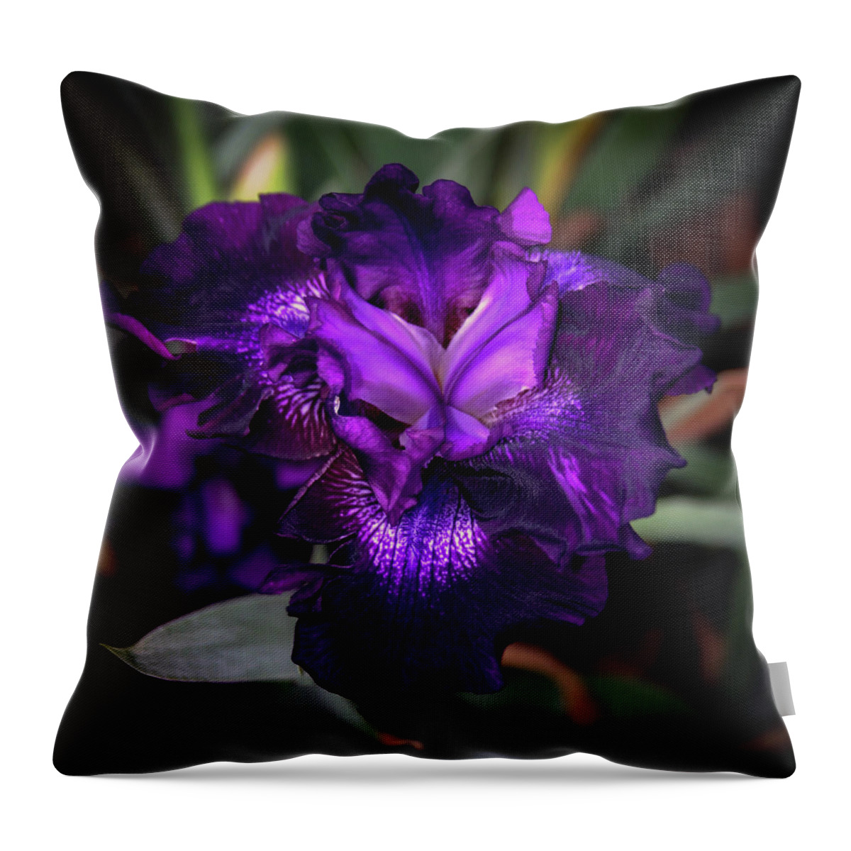 Purple Iris Throw Pillow featuring the photograph Purple Iris 5994 H_2 by Steven Ward