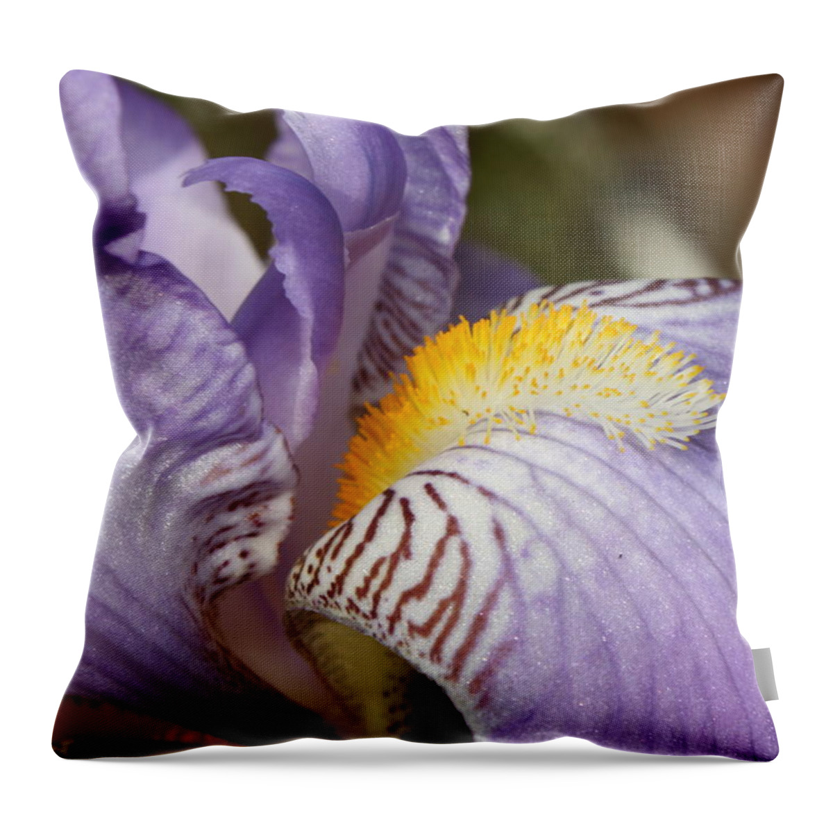 Iris Throw Pillow featuring the photograph Purple Iris Closeup by Carol Groenen