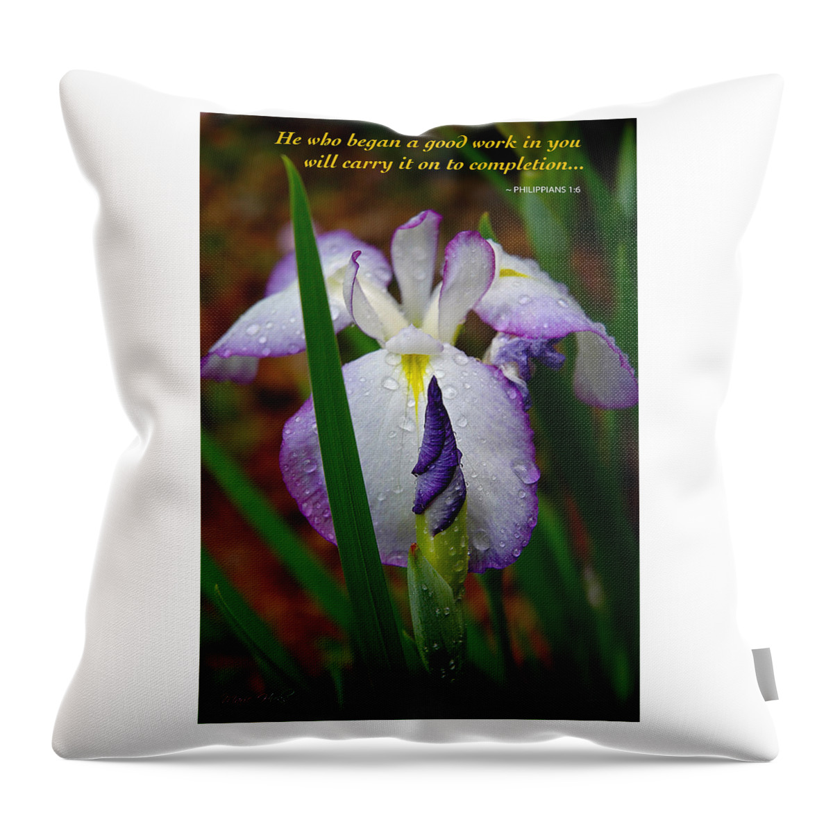 Flower Throw Pillow featuring the photograph Purple Iris in Morning Dew by Marie Hicks