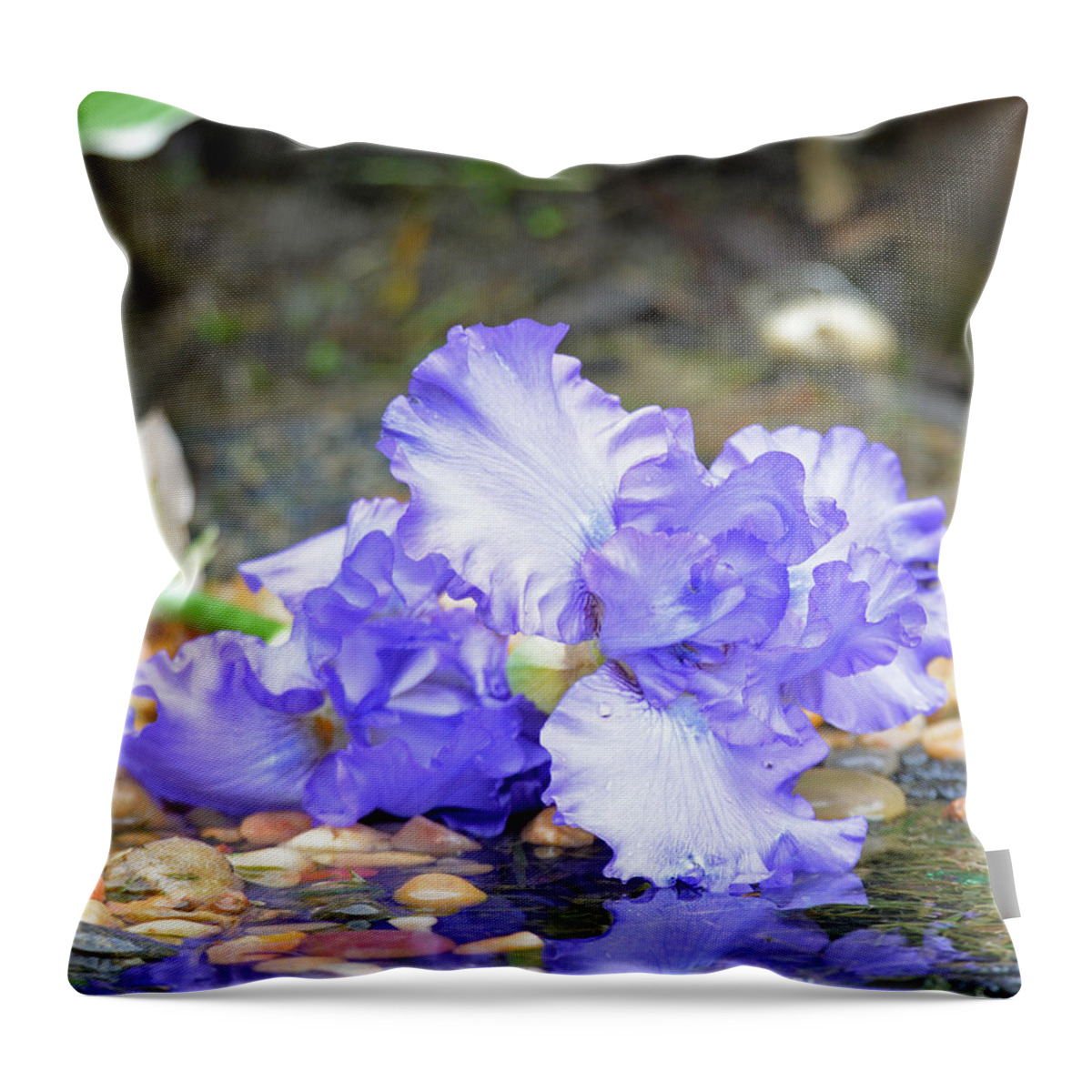 Purple Throw Pillow featuring the photograph Purple Iris Reflection by Lila Fisher-Wenzel