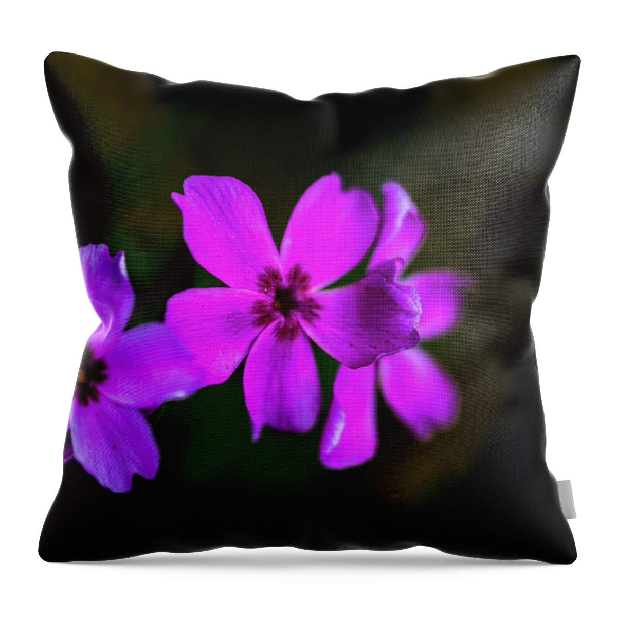 Jay Stockhaus Throw Pillow featuring the photograph Purple by Jay Stockhaus