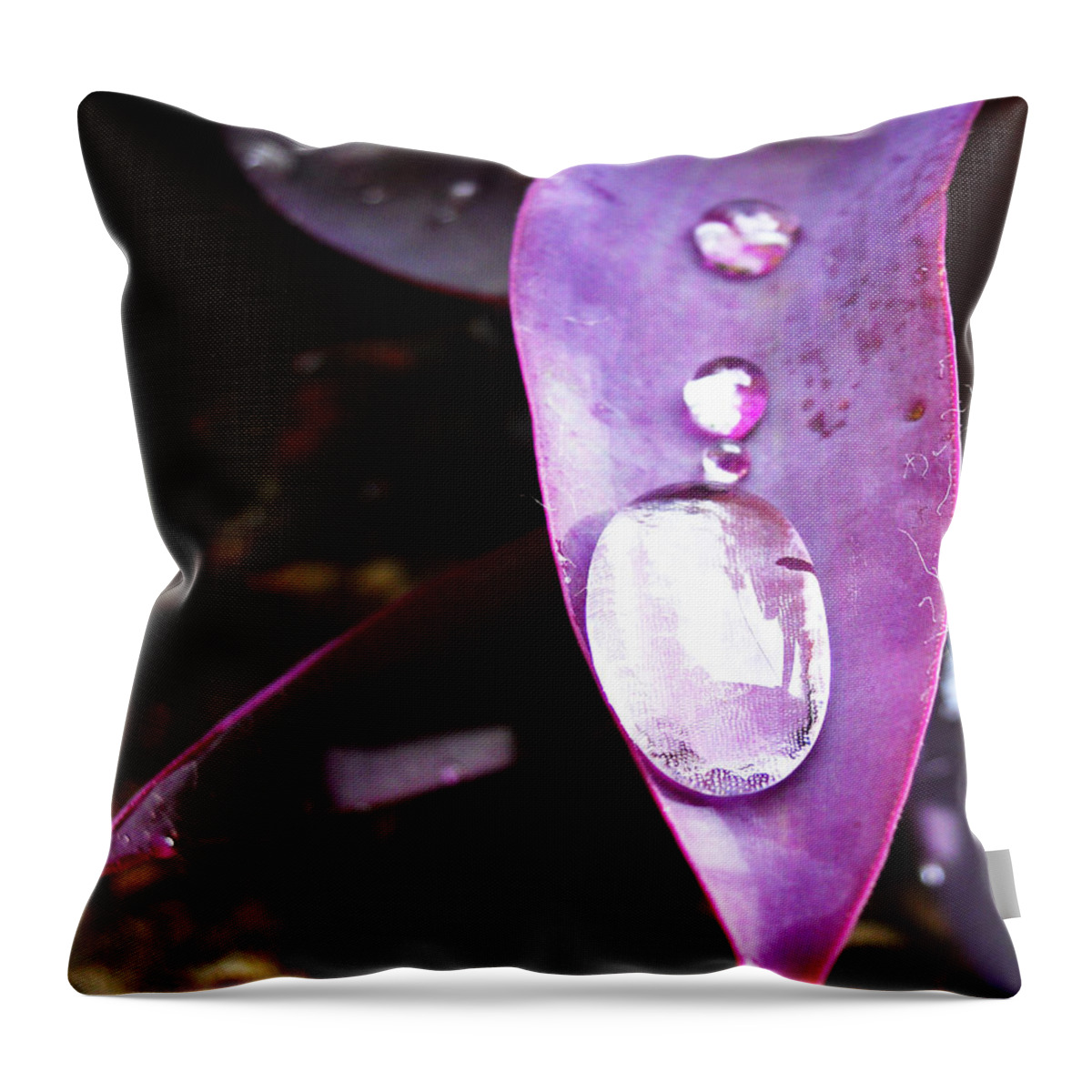 Purple Throw Pillow featuring the photograph Purple Leaf by Maggy Marsh