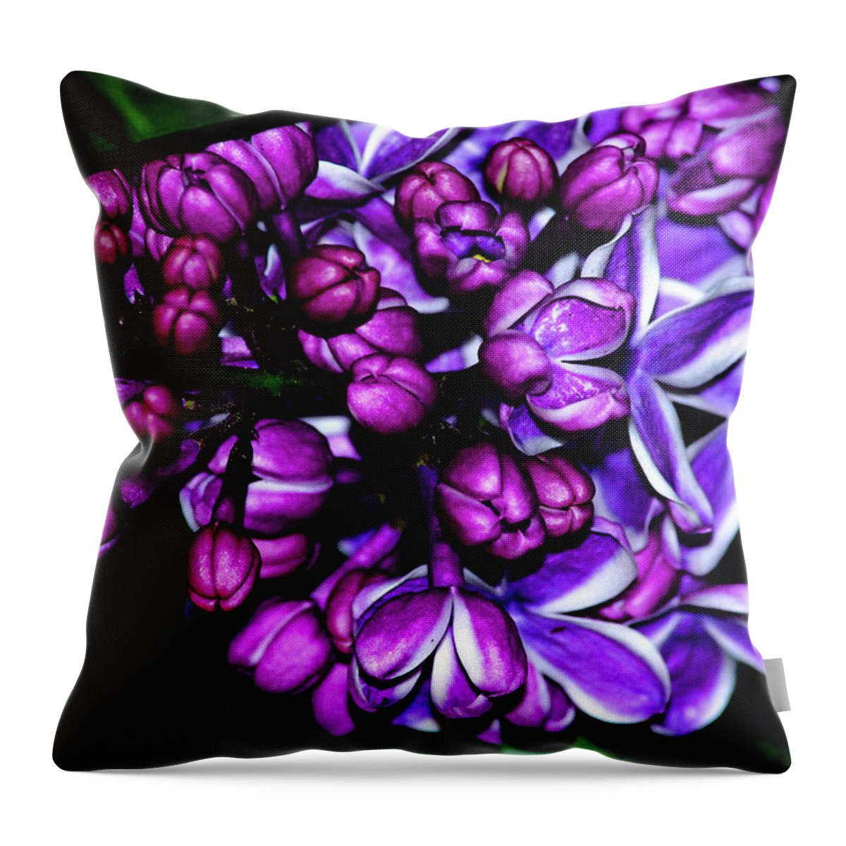 Purple Throw Pillow featuring the photograph Purple Lilac by Camille Lopez