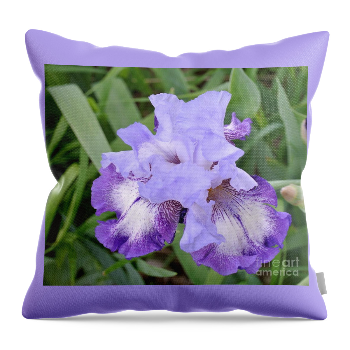Photo Throw Pillow featuring the photograph Purple Love by Marsha Heiken