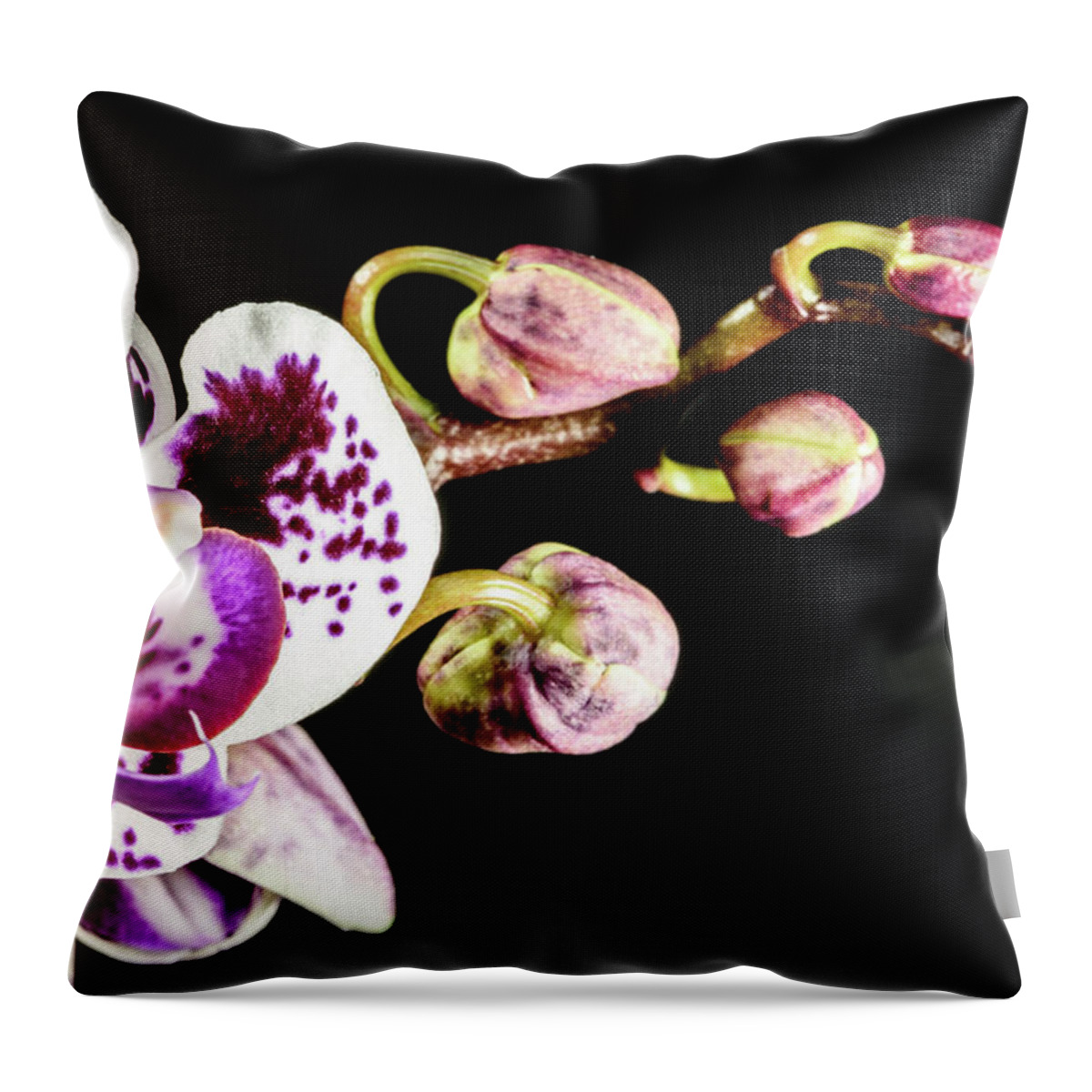 Orchid Throw Pillow featuring the photograph Purple Orchid Reaching Out by Tammy Ray