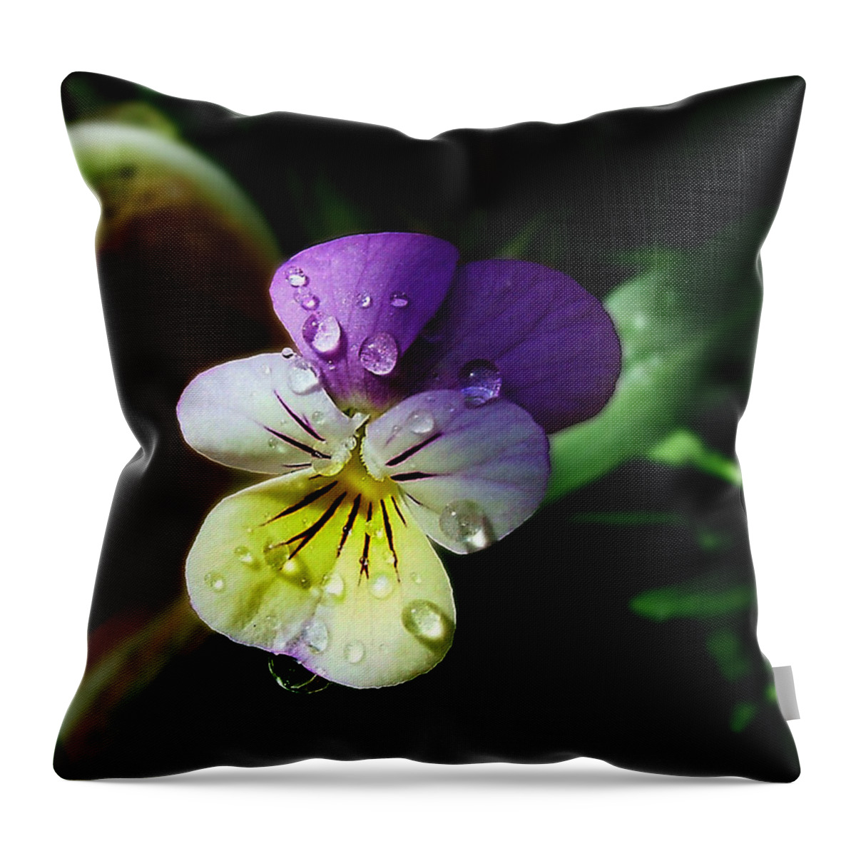 Flower Throw Pillow featuring the photograph Purple Pansy by Anthony Jones