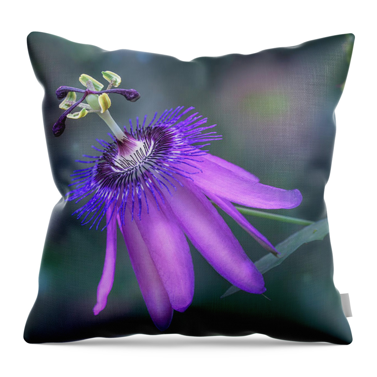 Flower Throw Pillow featuring the photograph Purple Passion Flower by Tim Abeln