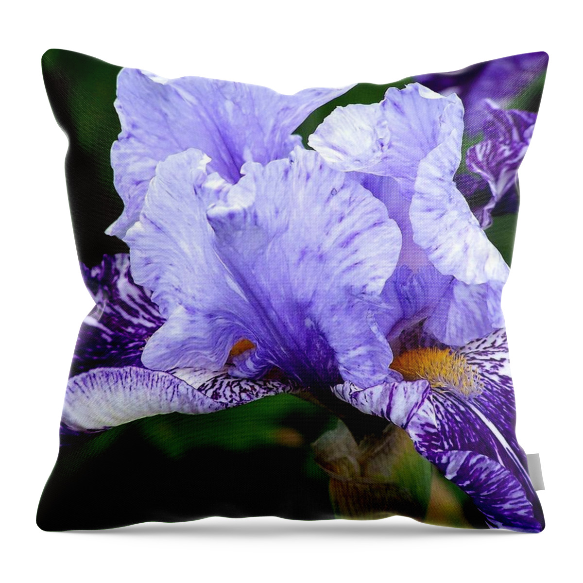 Flower Throw Pillow featuring the photograph Purple Passion Photograph by Kimberly Walker